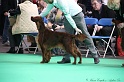 Crufts2011 656